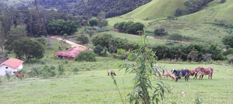 Stio - Venda - Rio Manso - Itajub - MG