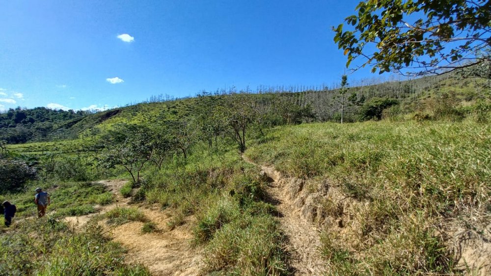 Fazenda - Venda - Bairro Bom Retiro - Bananal - SP