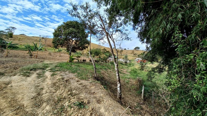 Fazenda - Venda - Trs Barras - Cachoeira Paulista - SP