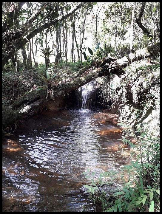 Fazenda - Venda - Serto da Bocaina - Bananal - SP