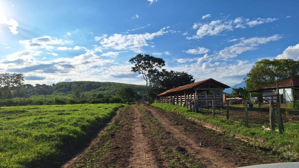 Stio - Venda - Campinho - Lorena - SP