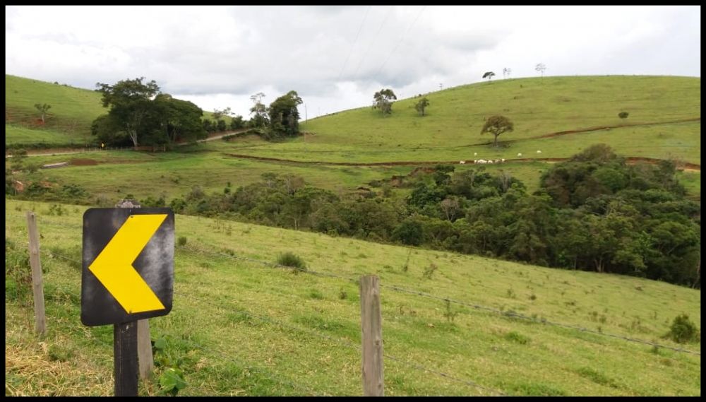 Fazenda - Venda - Lagoa - Silveiras - SP