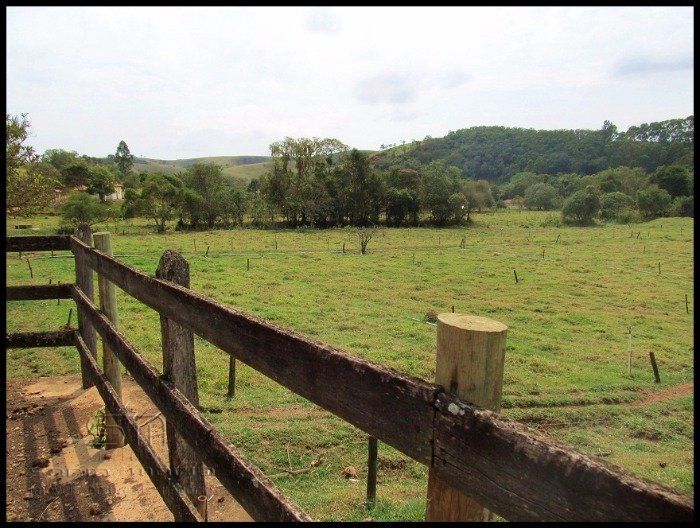 Fazenda - Venda - Bairro do Ribeiro - Cunha - SP