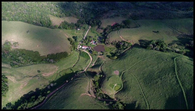 Fazenda - Venda - Bairro do Pinga - Pindamonhangaba - SP