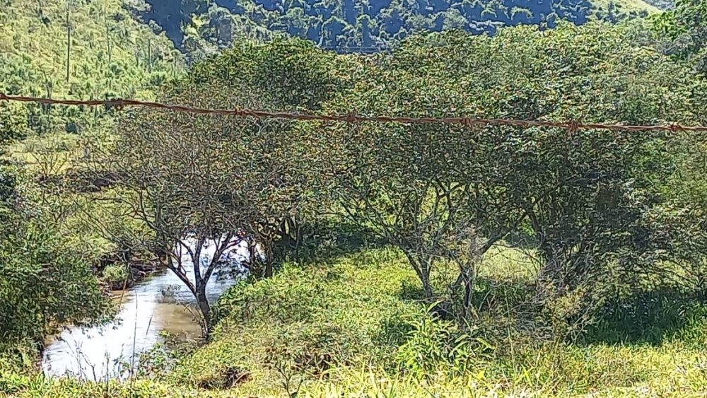 Fazenda - Venda - Barreirinho de Baixo - Bananal - SP