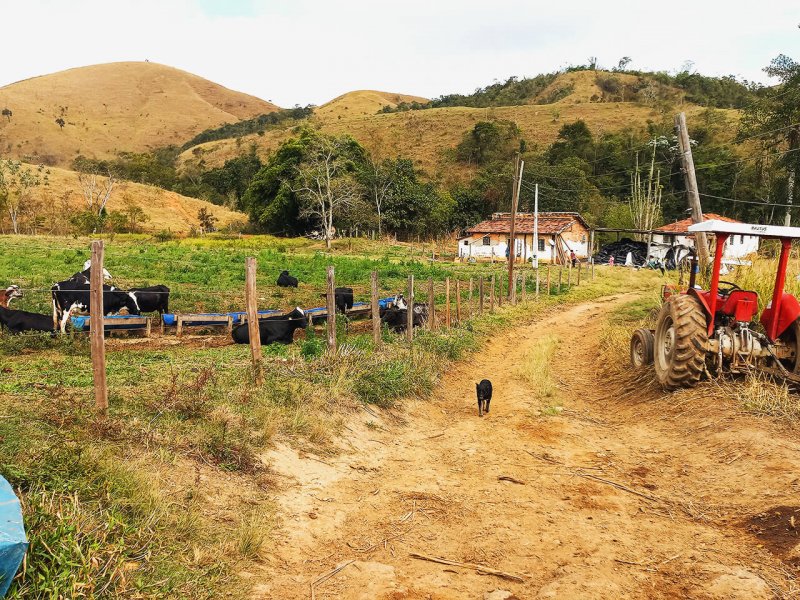 Fazenda - Venda - Trs Barras - Cachoeira Paulista - SP