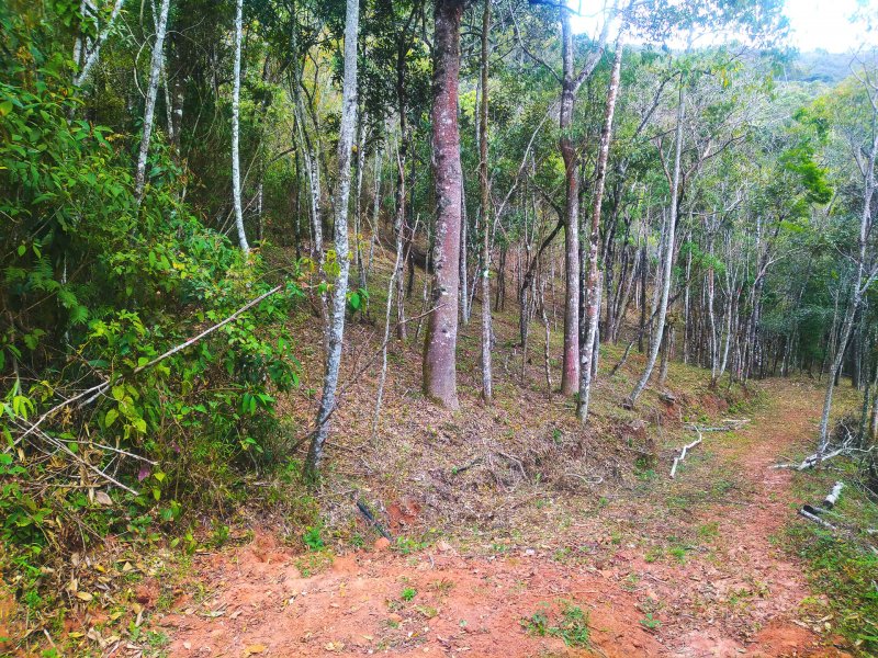 Chcara - Venda - Casa Montanha - Delfim Moreira - MG