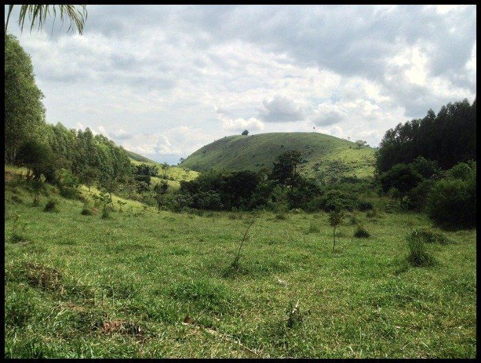 Fazenda - Venda - Santa Lucrcia - Lorena - SP