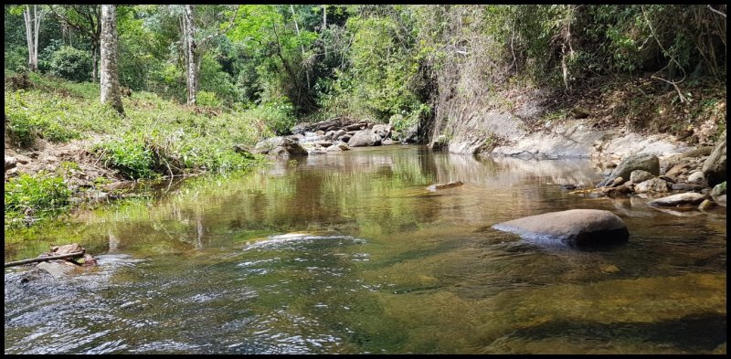 Stio - Venda - Peitudo - Silveiras - SP