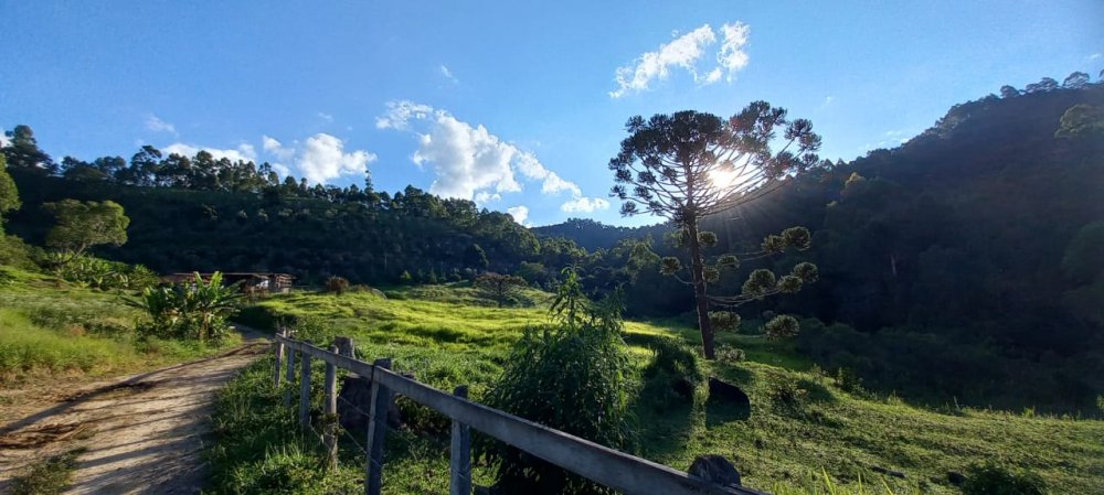 Fazenda - Venda - Monteiro - Delfim Moreira - MG