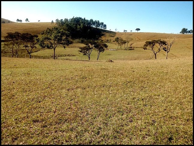 Fazenda - Venda - Rocinha - Guaratinguet - SP