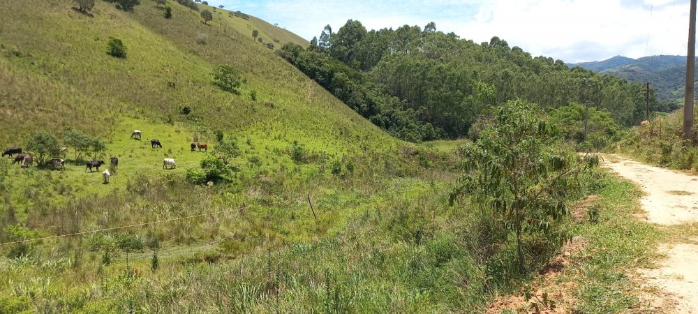 Stio - Venda - Ponte Nova - Silveiras - SP