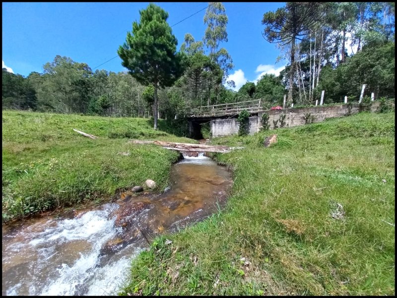 Stio - Venda - Barreira - Delfim Moreira - MG