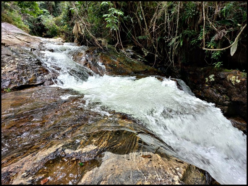 Fazenda - Venda - Macacos - Silveiras - SP