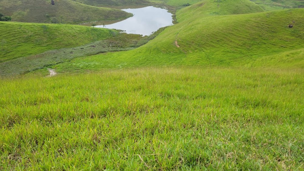 Fazenda - Venda - Vila Esperana - Itatiaia - RJ