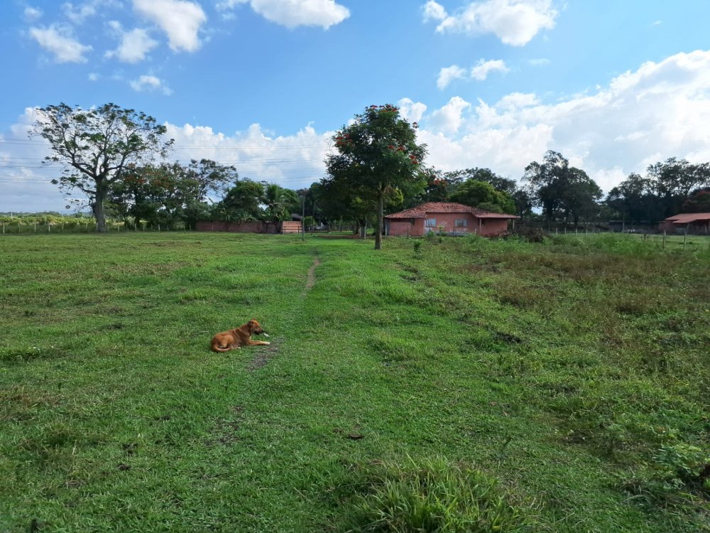 Stio - Venda - Quatinga - Lorena - SP