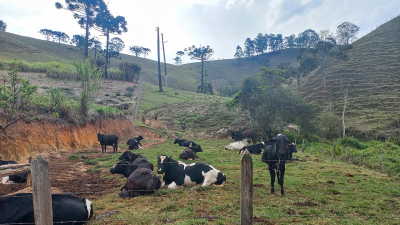 Stio - Venda - Bairro Calunga/peitudo - Silveiras - SP