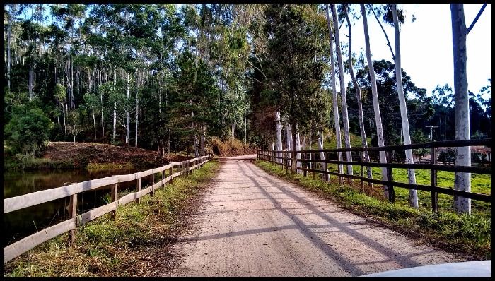 Fazenda - Venda - Colinas dos Macacos - Silveiras - SP