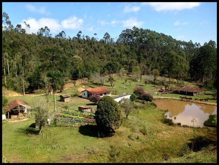 Fazenda - Venda - Bairro Paraibuna - Cunha - SP