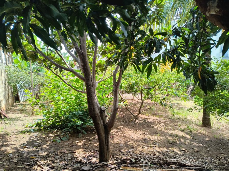 Terreno - Venda - Vila Z�lia - Lorena - SP