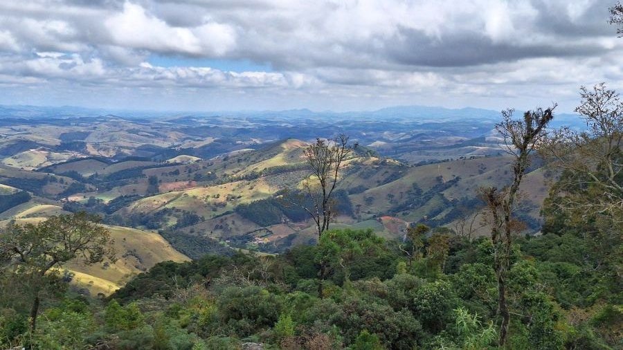 Fazenda - Venda - Área Rural de Campos Novos - Cunha - SP
