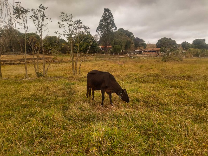 Chcara - Venda - Quatinga - Lorena - SP