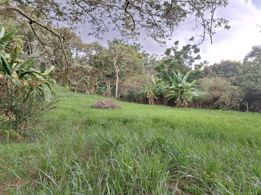 Stio - Venda - Bairro dos Figueiredos - Lorena - SP