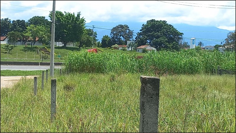 Terreno - Venda - Alto do Cruzeiro - Canas - SP