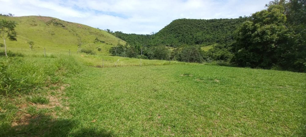 Sítio - Venda - Pedroso - Lorena - SP