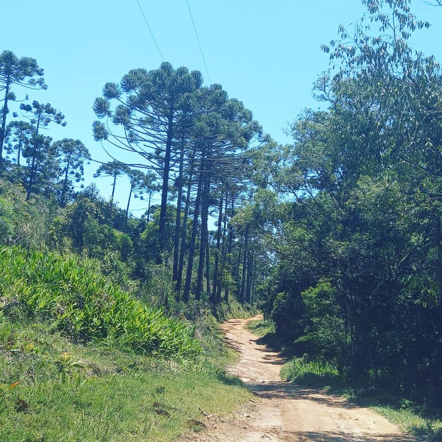 S�tio - Venda - Bairro da Roseira - Bananal - SP