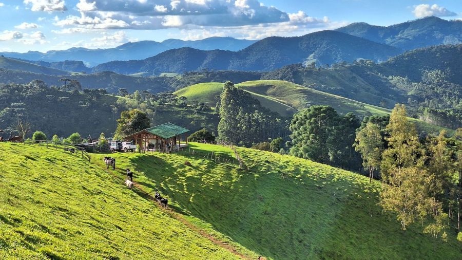 Sítio - Venda - Correias de Cima - Marmelópolis - MG