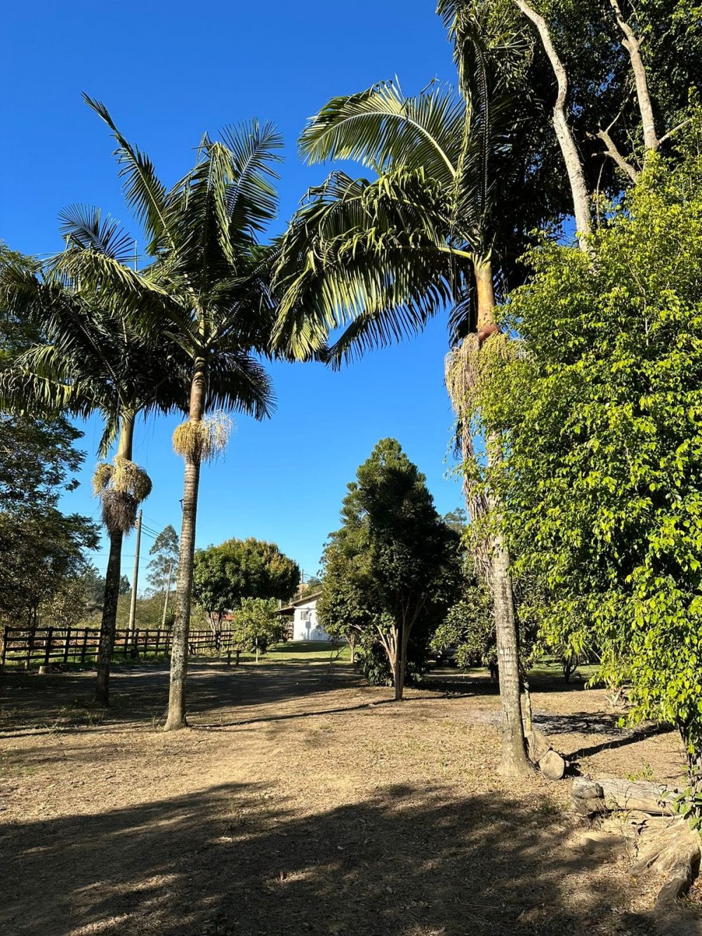 Chcara - Venda - Bairro da Cachoeira - Lagoinha - SP