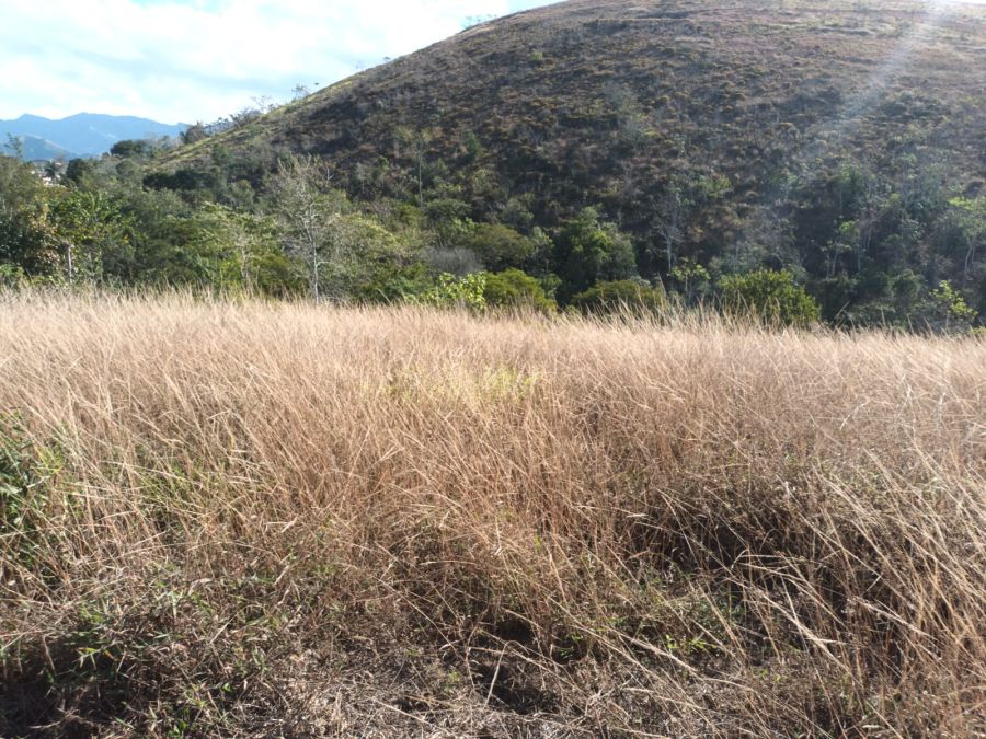 Terreno - Venda - Bairro Formiga - Bananal - SP