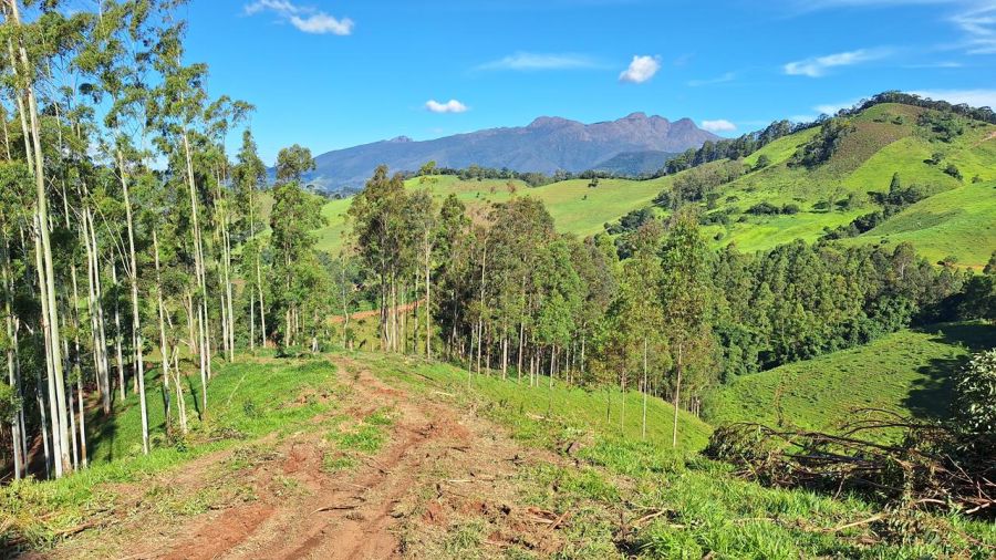 S�tio - Venda - Correias de Cima - Marmel�polis - MG