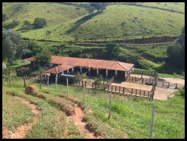 Fazenda - Venda - B. Vrzea do Tanque - Cunha - SP