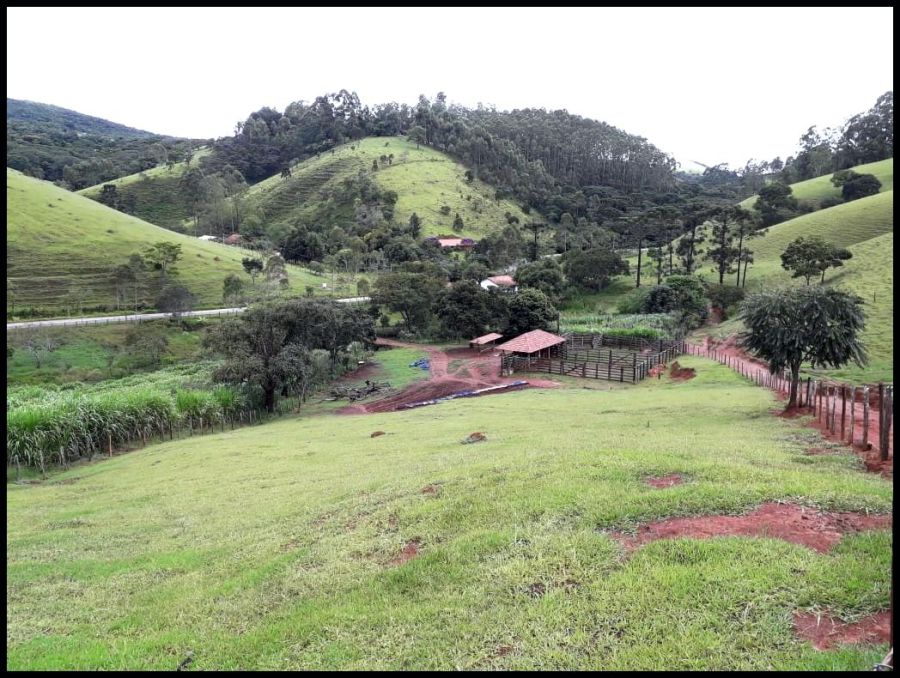 Fazenda - Venda - Pinheirinho - Guaratinguetá - SP