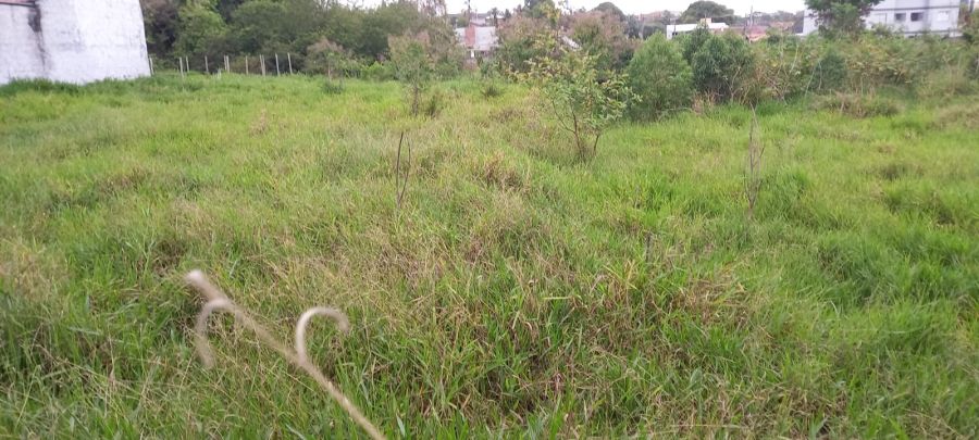 Terreno - Venda - Vila Zlia - Lorena - SP