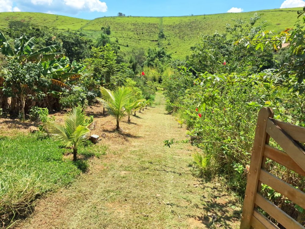 Stio - Venda - Bairro do Ronco - Lorena - SP