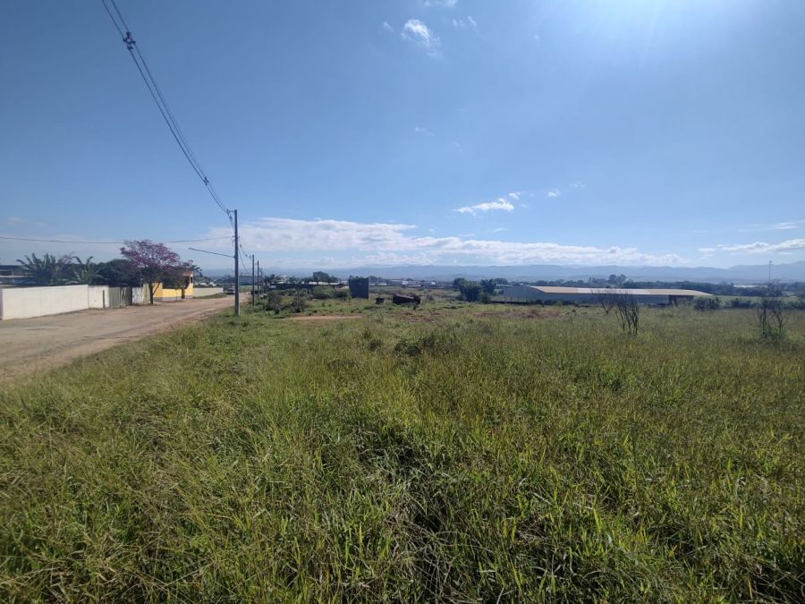 rea - Venda - Fazenda Filhina - Caapava - SP