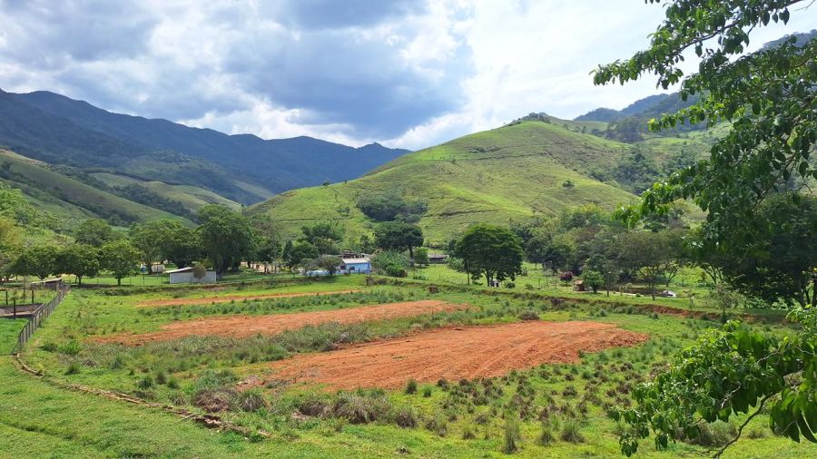 Sítio - Venda - José Pedro - São José do Barreiro - SP