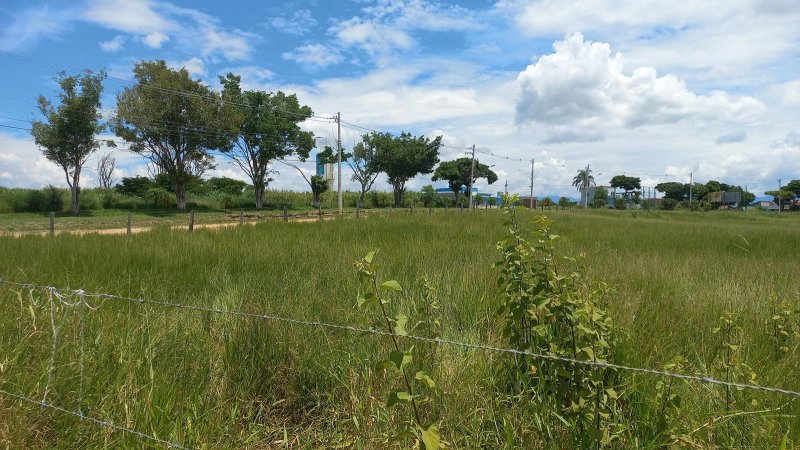 Terreno - Venda - Alto do Cruzeiro - Canas - SP