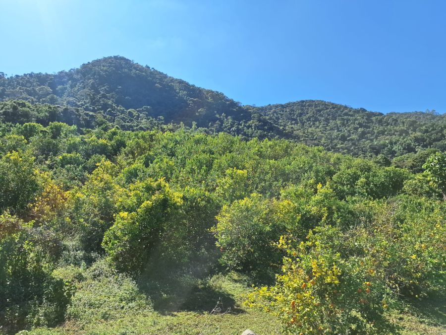 Fazenda - Venda - Rio Manso - Itajub - MG