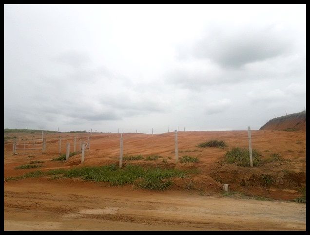 Terreno - Venda - Bairro dos Marques - Canas - SP