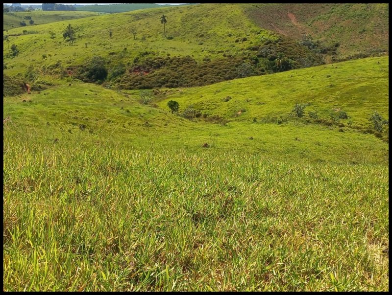 Stio - Venda - Bairro So Jos - Piquete - SP