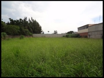Terreno - Venda - Vila Zélia - Lorena - SP