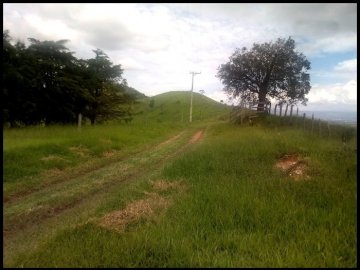 Sítio - Venda - Boa Vista - Piquete - SP