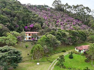 LINDA PAISAGEM | JARDINS | CONSTRU��ES IMPEC�VEIS