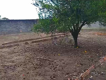 1.000m� | 20x50m
