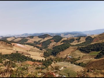 Fazenda - Venda - Paciência - Cristina - MG