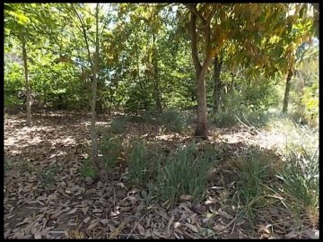 Terreno - Venda - Bairro Angelina - Piquete - SP